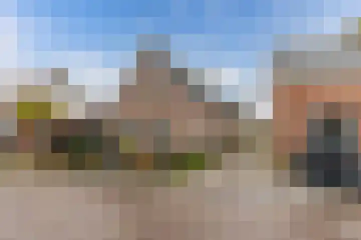 Geawei 21 Augustinusga thumbnail 47