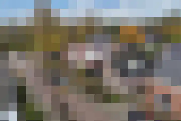 Geawei 21 Augustinusga thumbnail 48