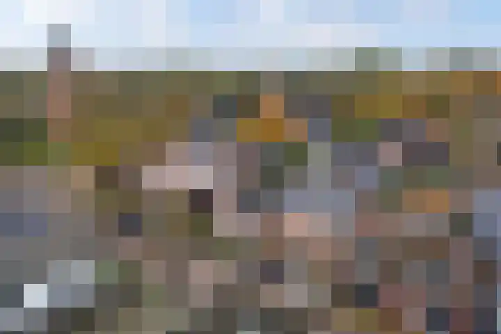 Geawei 21 Augustinusga thumbnail 49