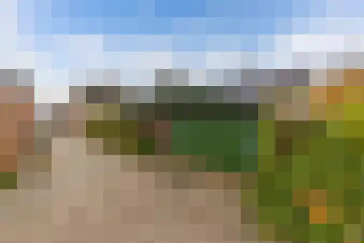 Geawei 21 Augustinusga thumbnail 5
