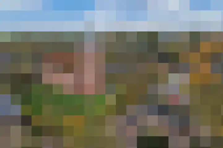 Geawei 21 Augustinusga thumbnail 50