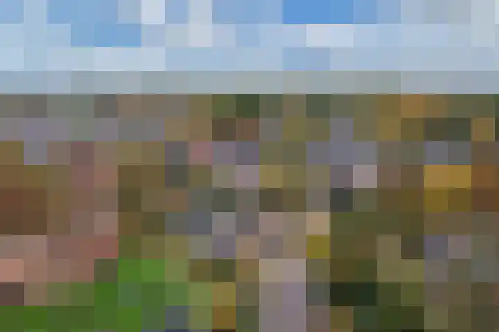 Geawei 21 Augustinusga thumbnail 51