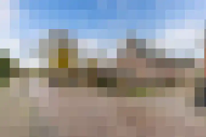 Geawei 21 Augustinusga thumbnail 52