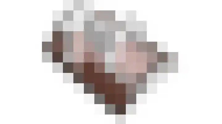 Geawei 21 Augustinusga thumbnail 58