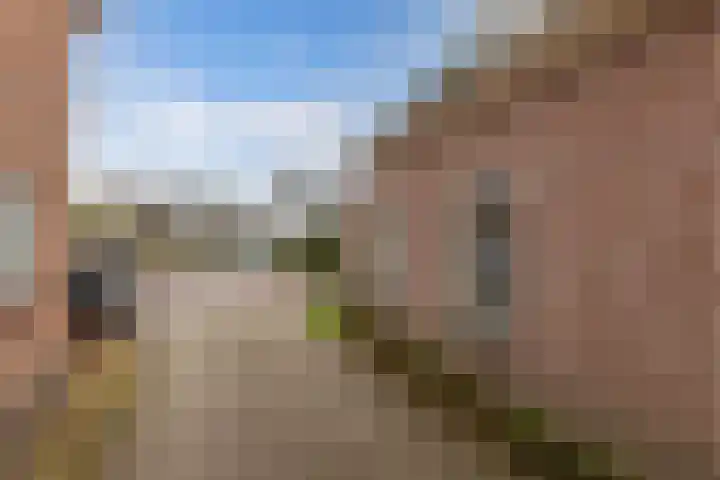 Geawei 21 Augustinusga thumbnail 7