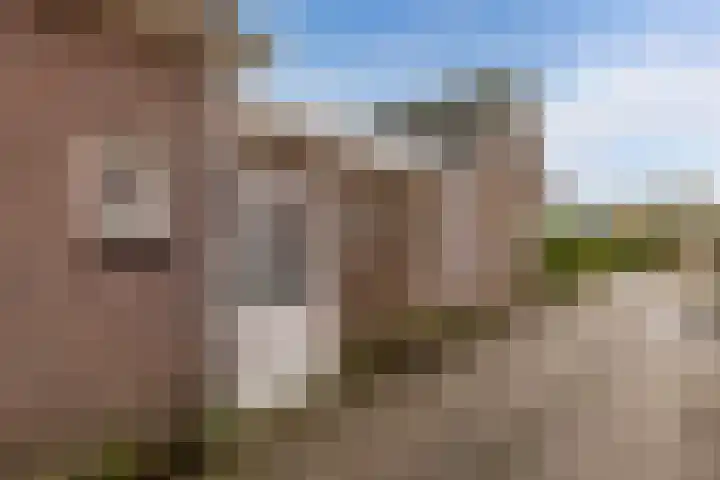Geawei 21 Augustinusga thumbnail 8