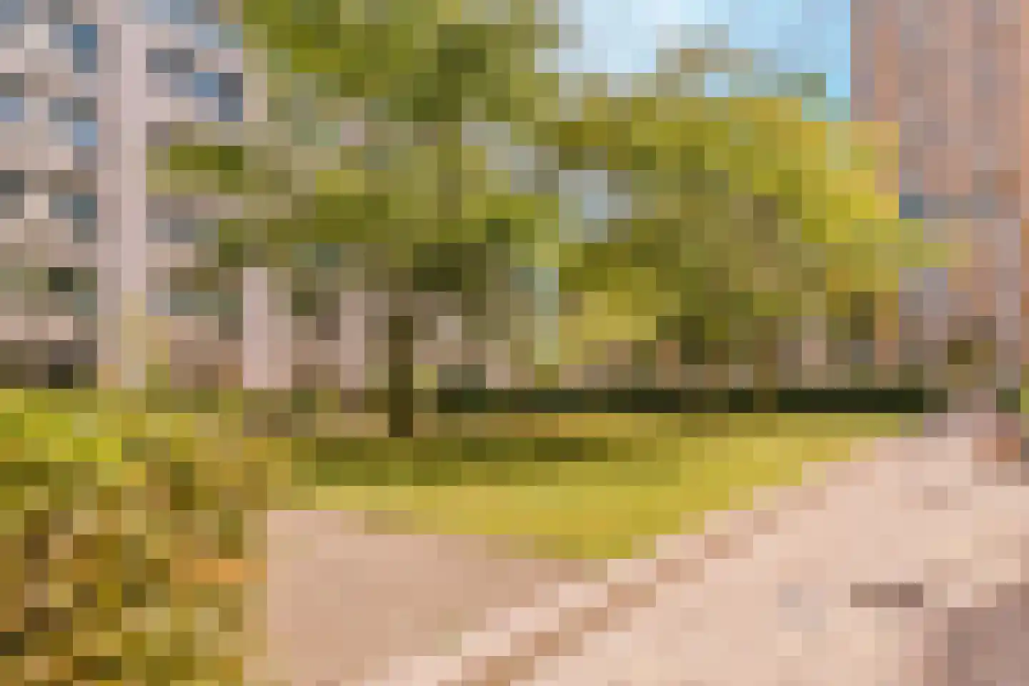Geawei 33 Augustinusga thumbnail 20
