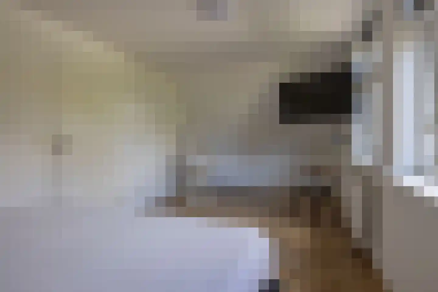 Geawei 33 Augustinusga thumbnail 24