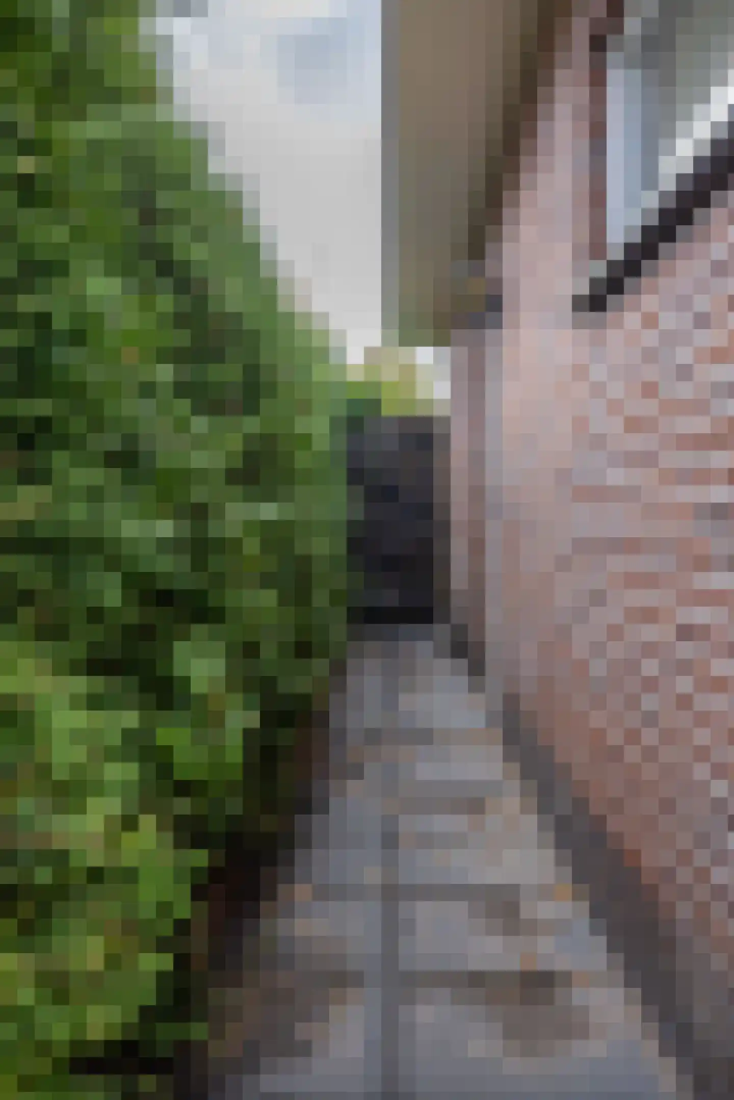 Geawei 33 Augustinusga thumbnail 7