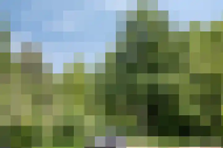 Gebbenlaan 10 Delft thumbnail 26
