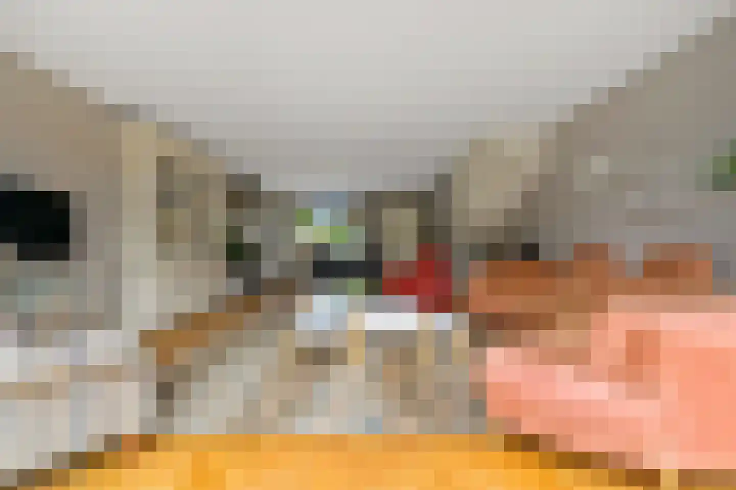 Gebbenlaan 16 Delft thumbnail 15