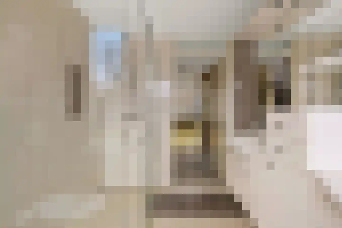 Gebbenlaan 16 Delft thumbnail 28