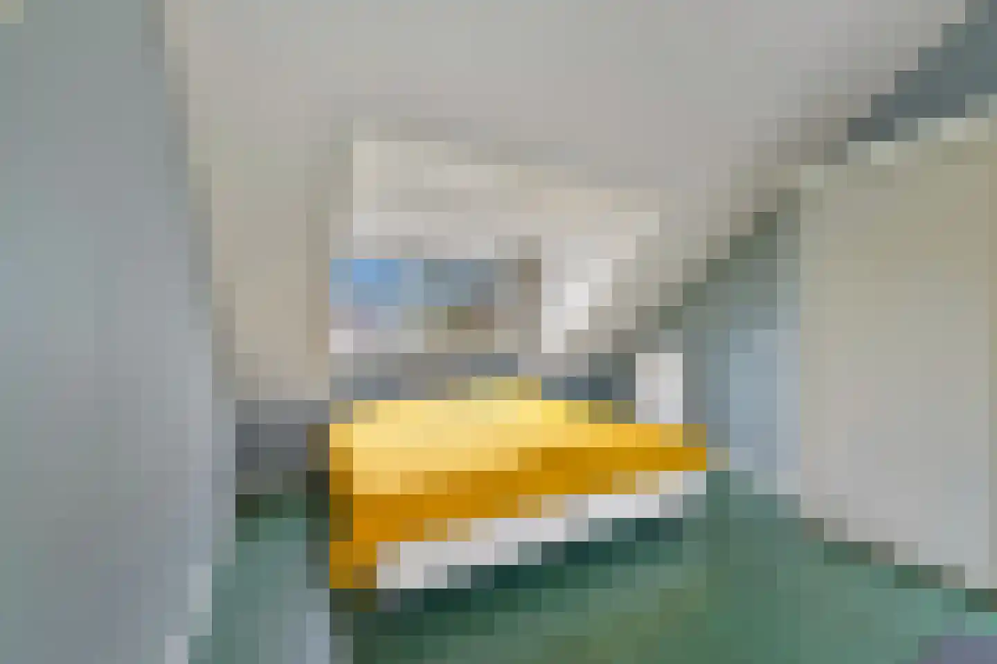 Gebbenlaan 16 Delft thumbnail 35
