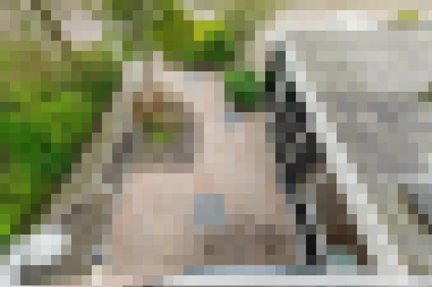 Gebbenlaan 16 Delft thumbnail 45