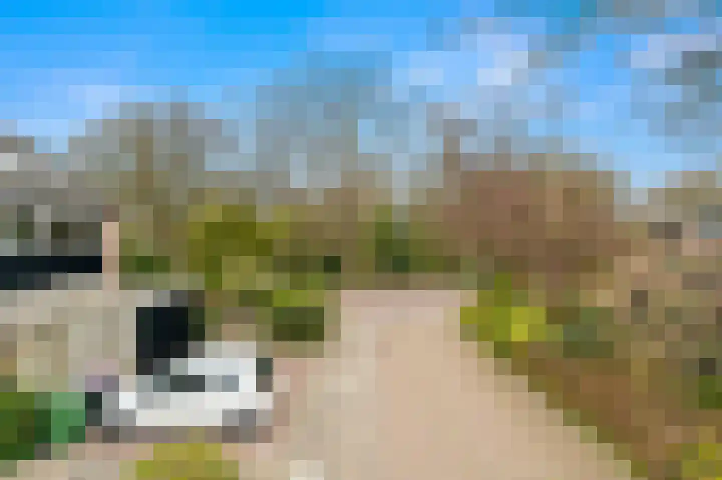 Gebbenlaan 16 Delft thumbnail 46