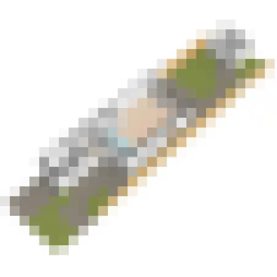 Gebbenlaan 16 Delft thumbnail 80