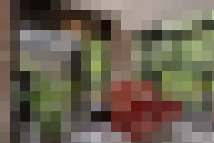 Gebbenlaan 36 Delft thumbnail 10