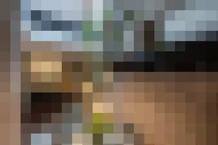 Gebbenlaan 36 Delft thumbnail 16