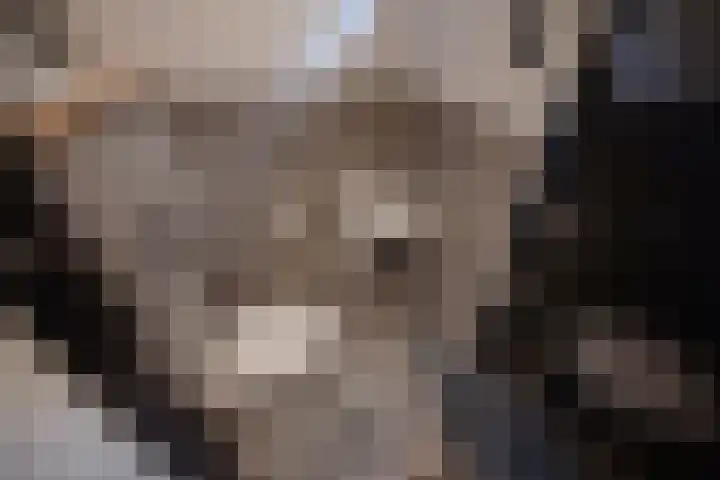 Gebbenlaan 36 Delft thumbnail 17
