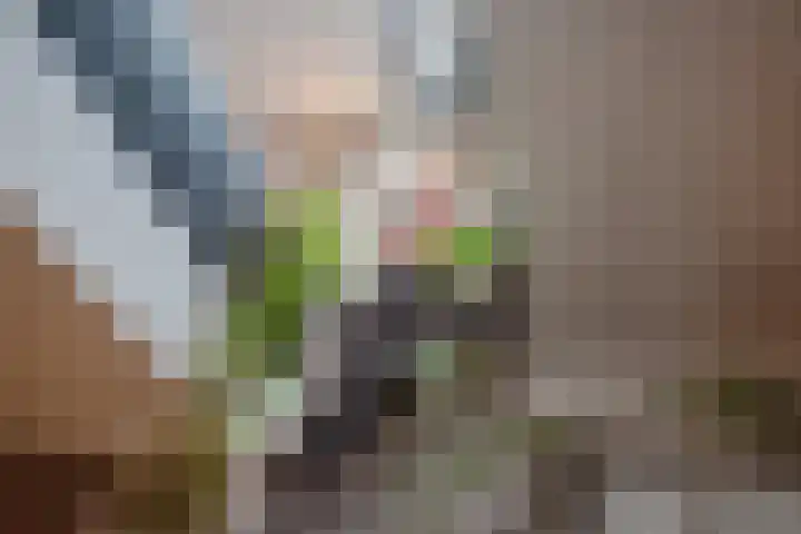Gebbenlaan 36 Delft thumbnail 19