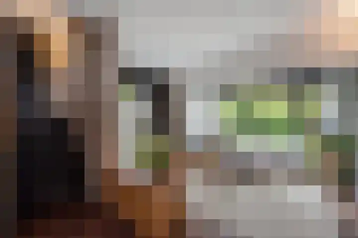 Gebbenlaan 36 Delft thumbnail 21