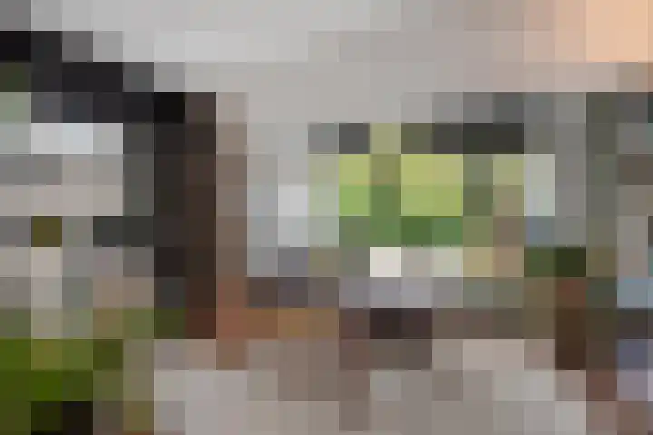 Gebbenlaan 36 Delft thumbnail 22