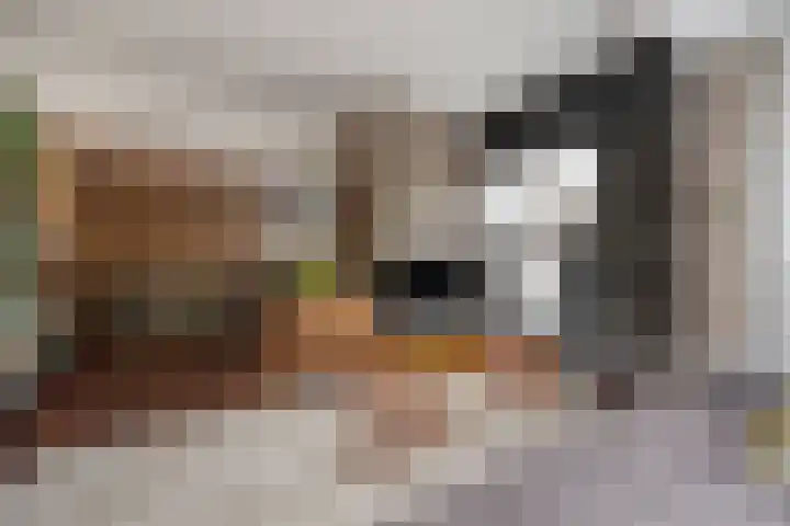 Gebbenlaan 36 Delft thumbnail 23