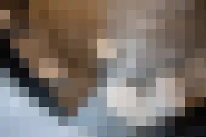 Gebbenlaan 36 Delft thumbnail 26