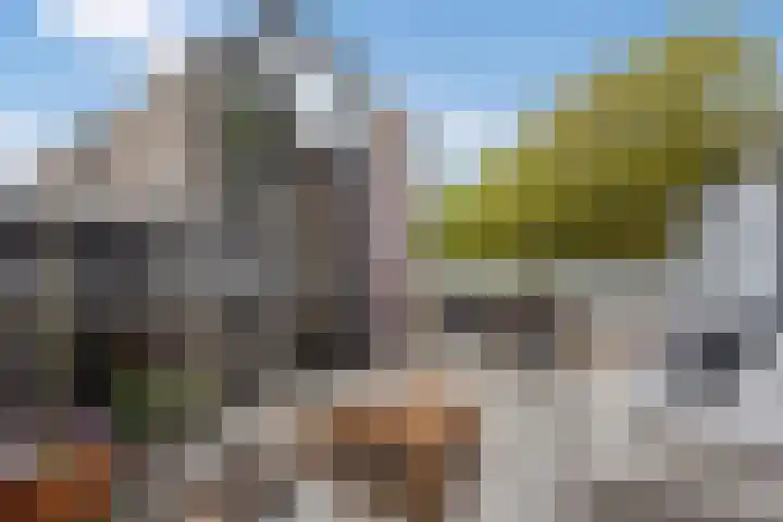 Gebbenlaan 36 Delft thumbnail 38