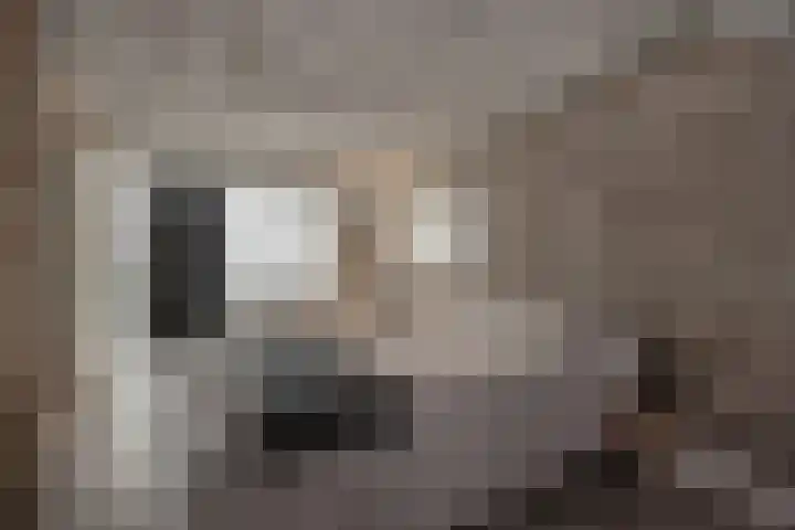 Gebbenlaan 36 Delft thumbnail 42