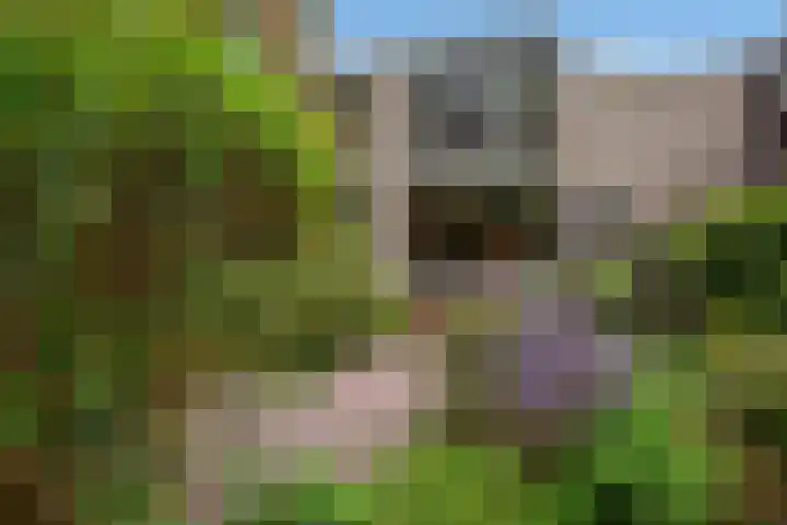 Gebbenlaan 36 Delft thumbnail 48