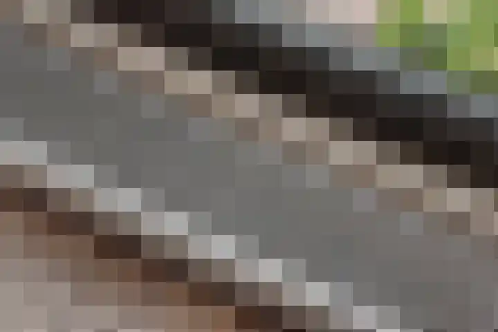 Gebbenlaan 36 Delft thumbnail 9