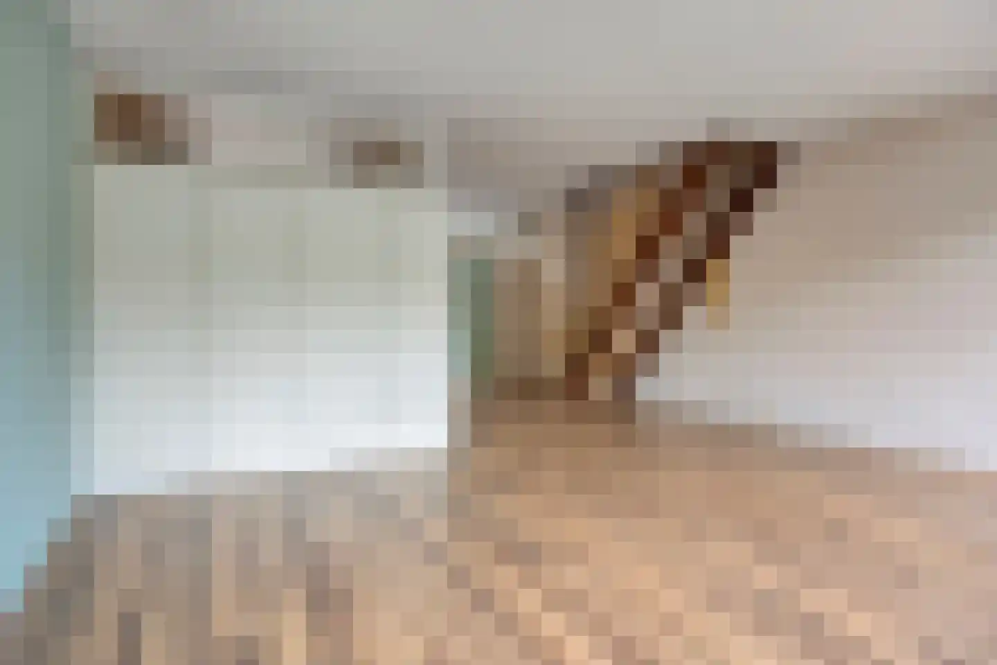 Gebbenlaan 51 Delft thumbnail 14