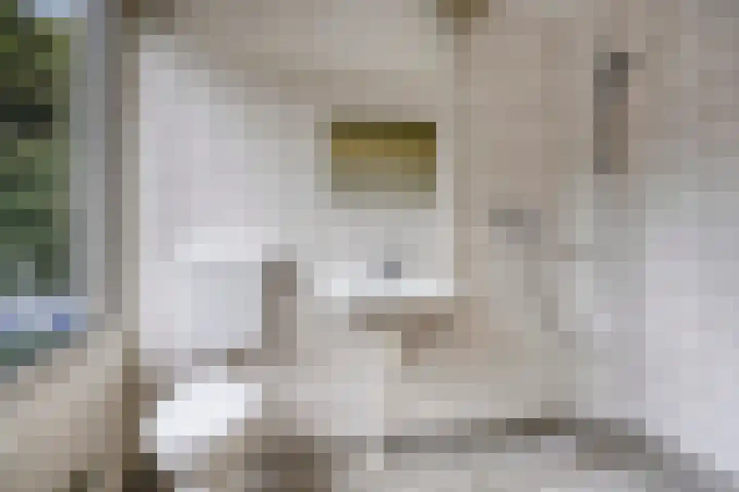 Gebbenlaan 51 Delft thumbnail 22