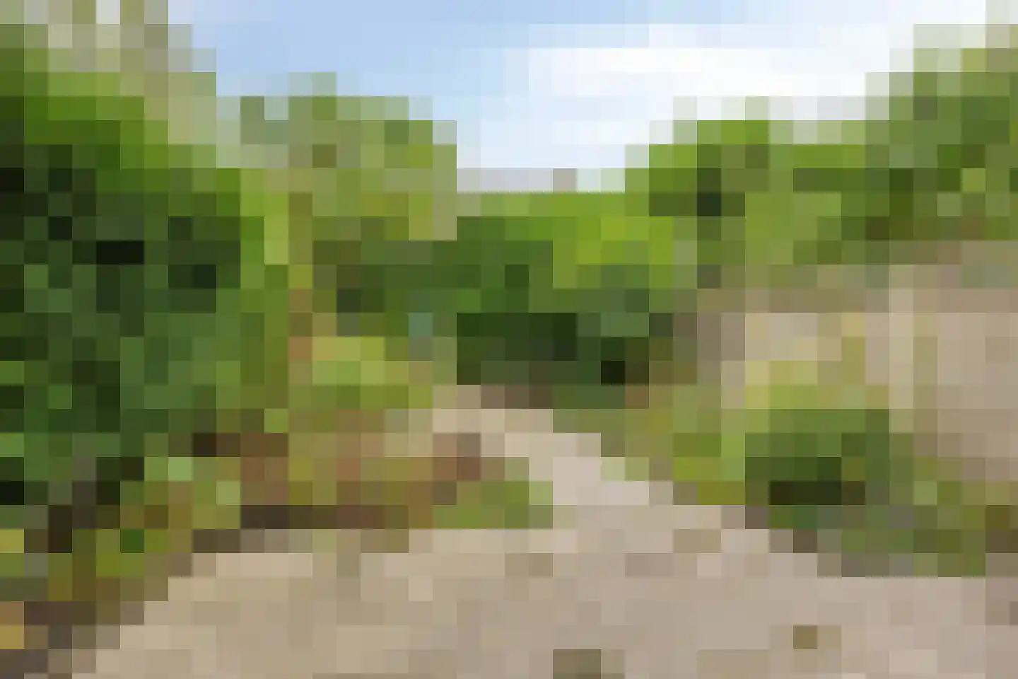 Gebbenlaan 51 Delft thumbnail 33