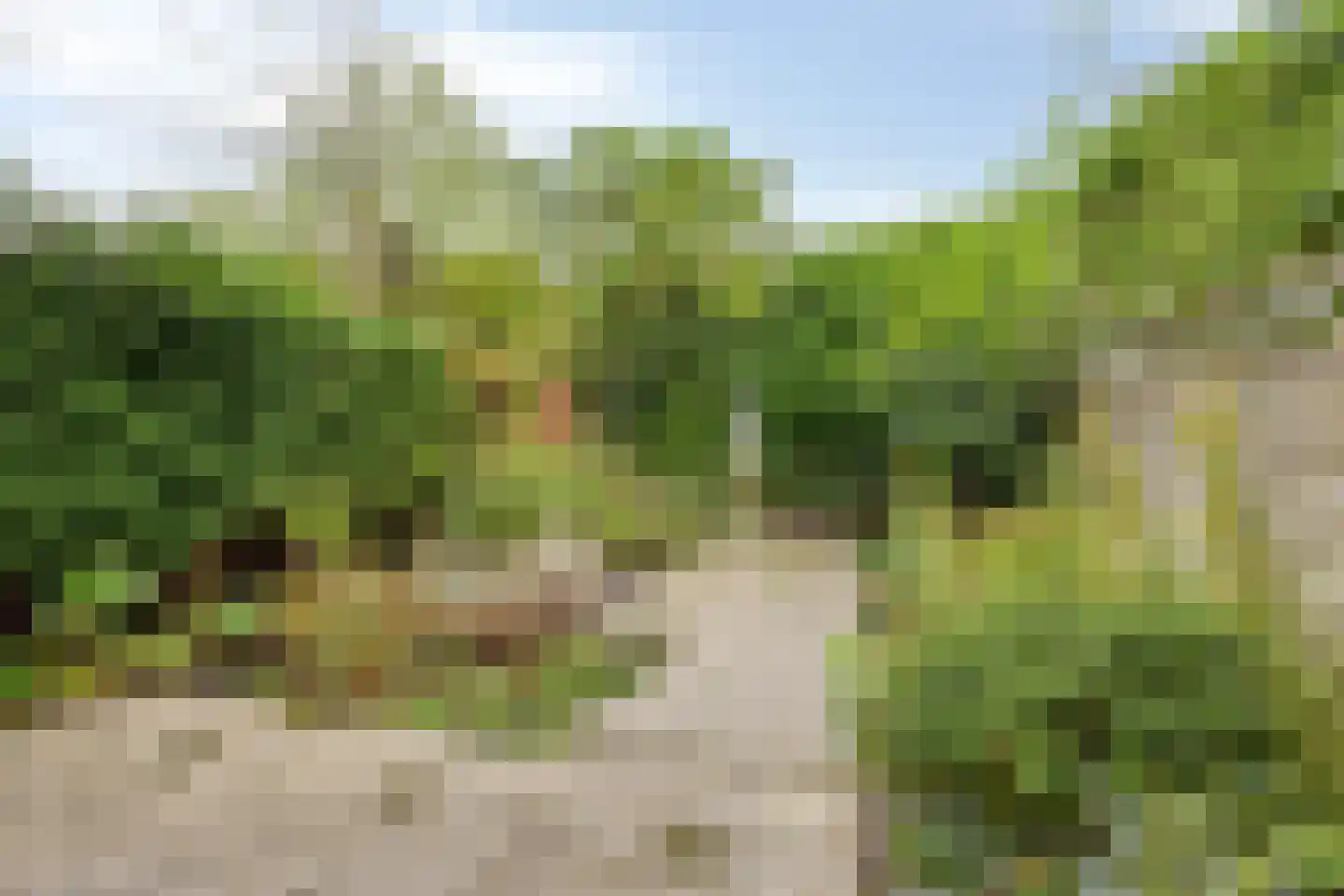 Gebbenlaan 51 Delft thumbnail 34