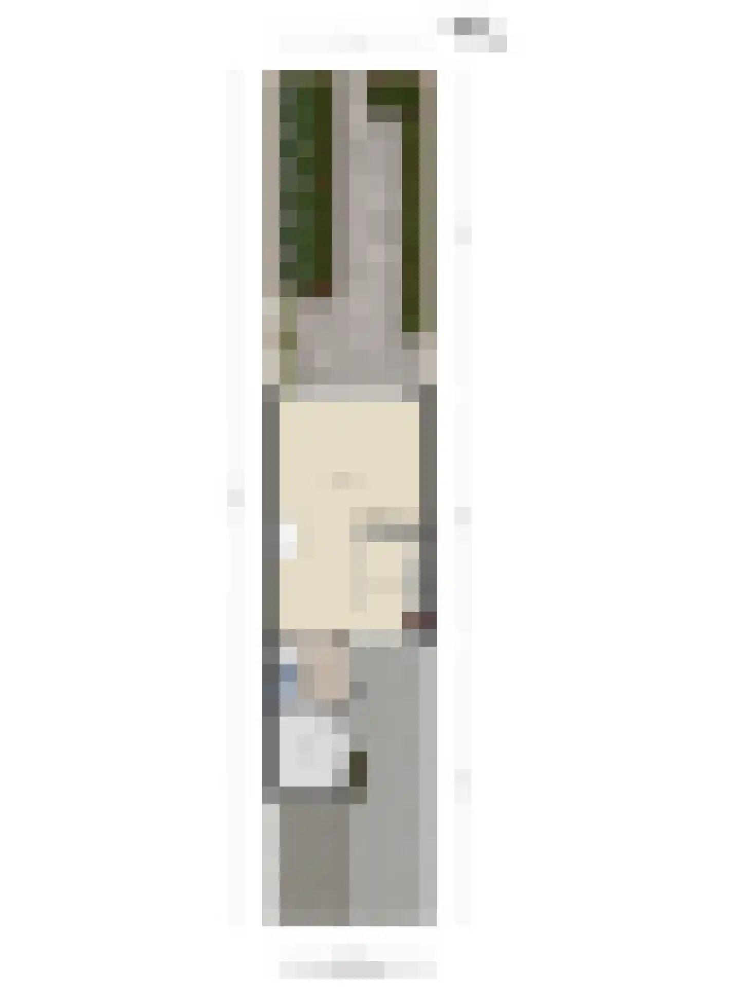 Gebbenlaan 51 Delft thumbnail 37