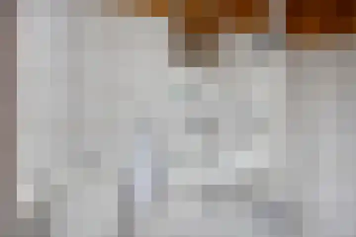 Gebbenlaan 56 Delft thumbnail 22