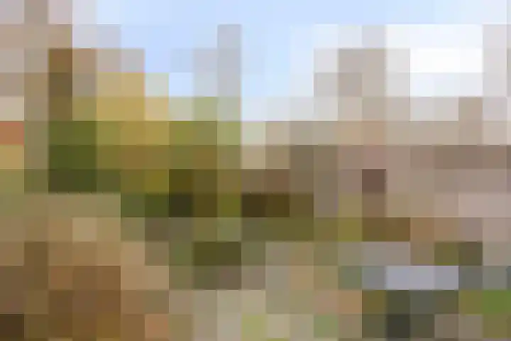 Gebbenlaan 56 Delft thumbnail 34