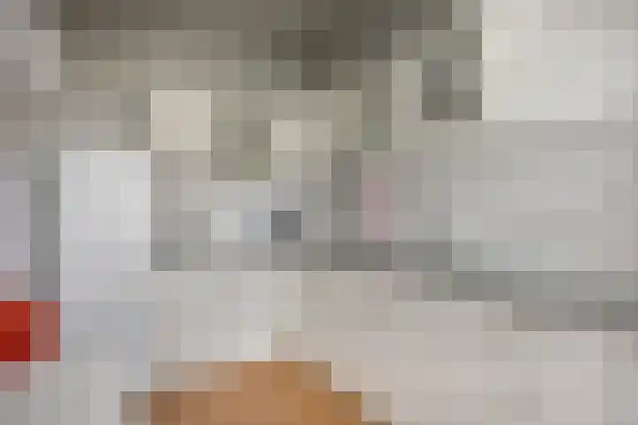 Gebbenlaan 56 Delft thumbnail 8