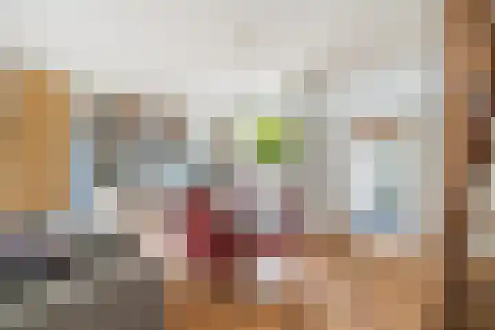 Gebbenlaan 74 Delft thumbnail 18