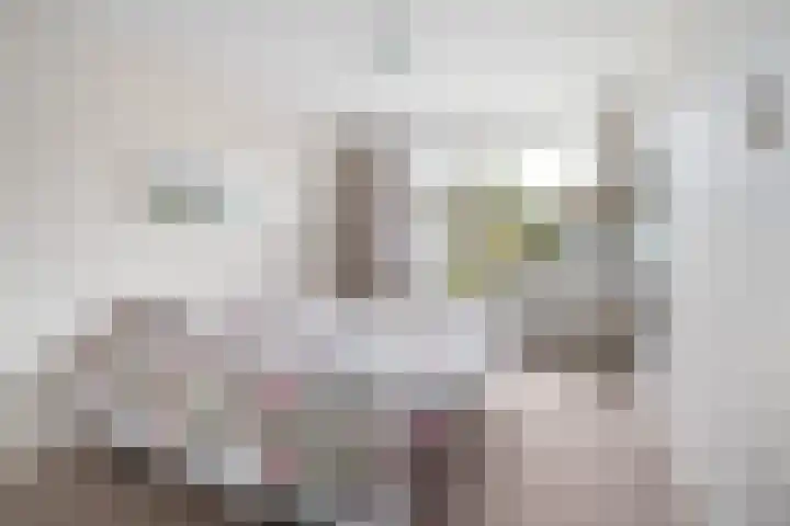 Gebbenlaan 74 Delft thumbnail 21