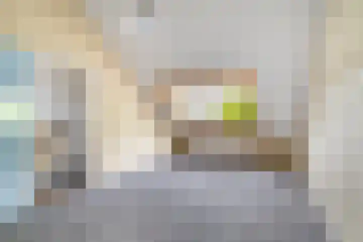 Gebbenlaan 74 Delft thumbnail 31