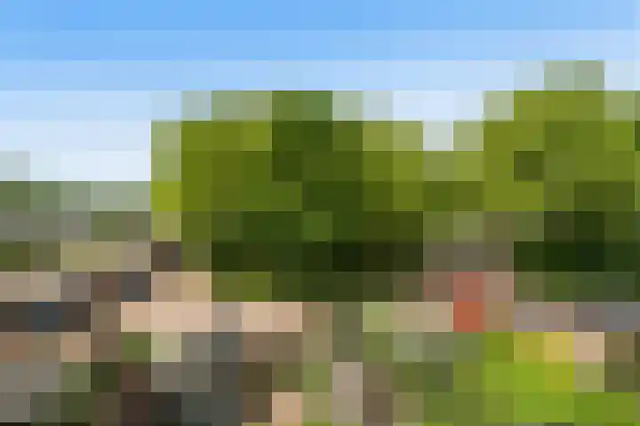 Gebbenlaan 74 Delft thumbnail 33
