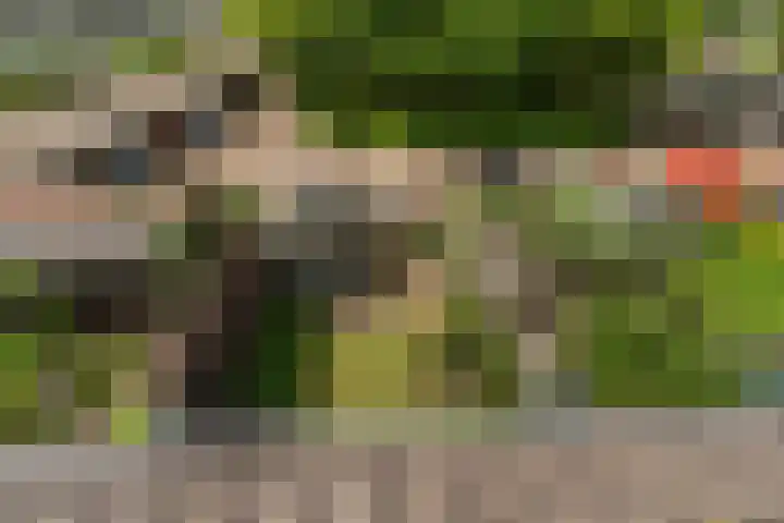 Gebbenlaan 74 Delft thumbnail 34