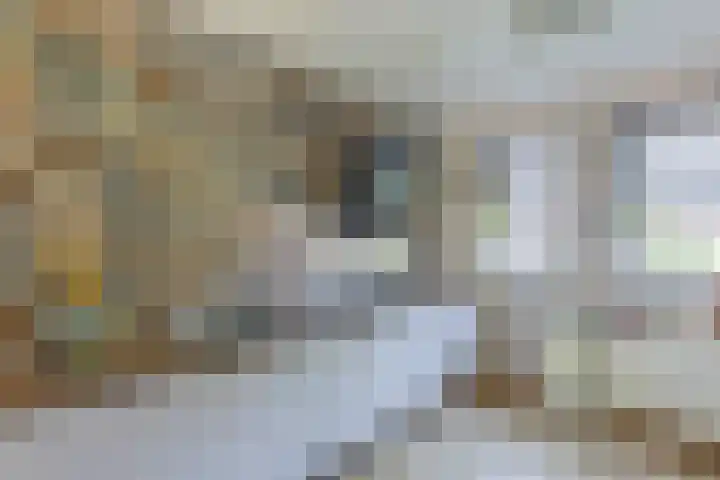 Gebint 31 Oosterhout thumbnail 10