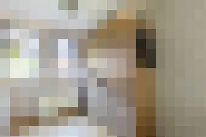 Gebint 31 Oosterhout thumbnail 11