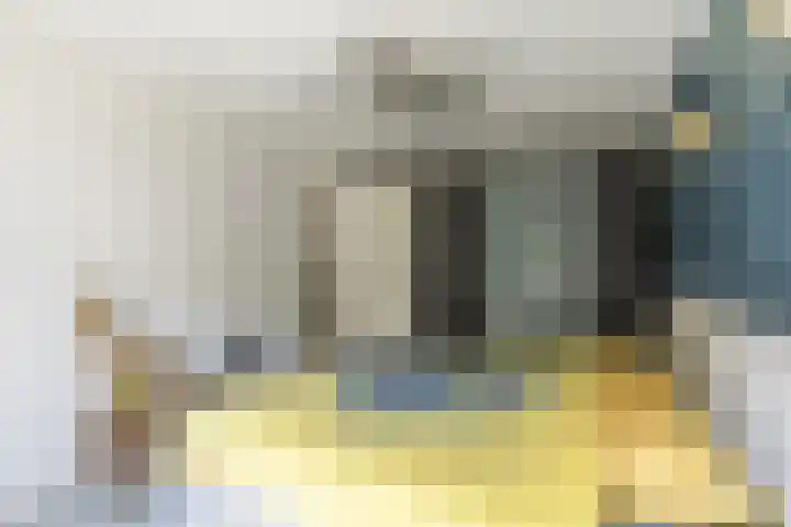 Gebint 31 Oosterhout thumbnail 13