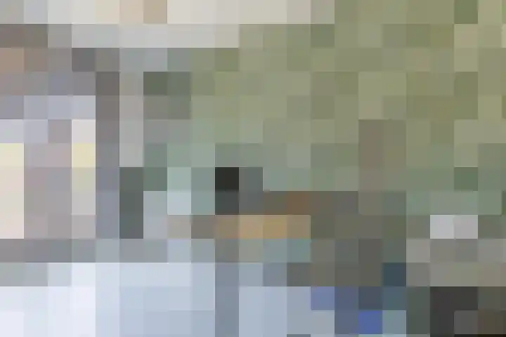 Gebint 31 Oosterhout thumbnail 16