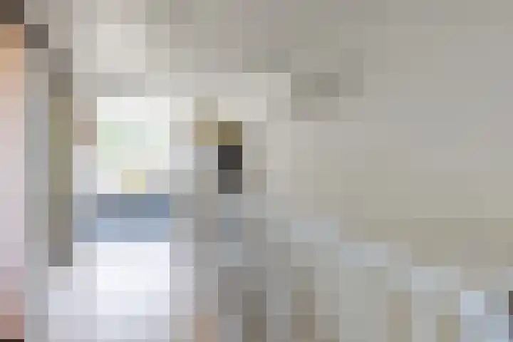 Gebint 31 Oosterhout thumbnail 22